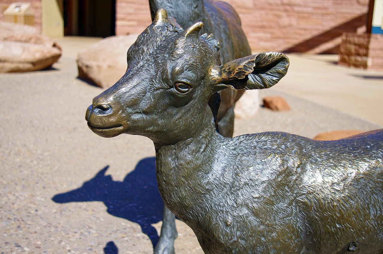 bighorn lamb in bronze  bronze  statue free photo