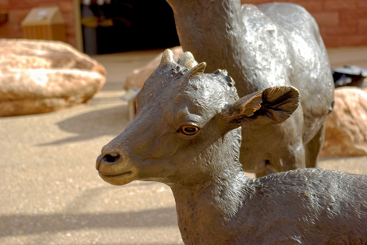 bighorn lamb sculpture  bronze  statue free photo