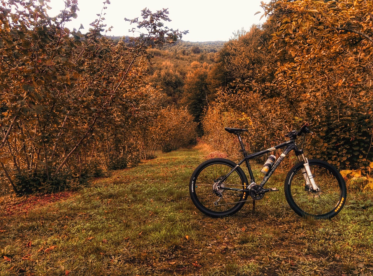 bike trail ride bicycle free photo