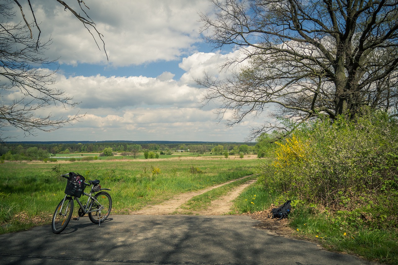 bike nature village free photo