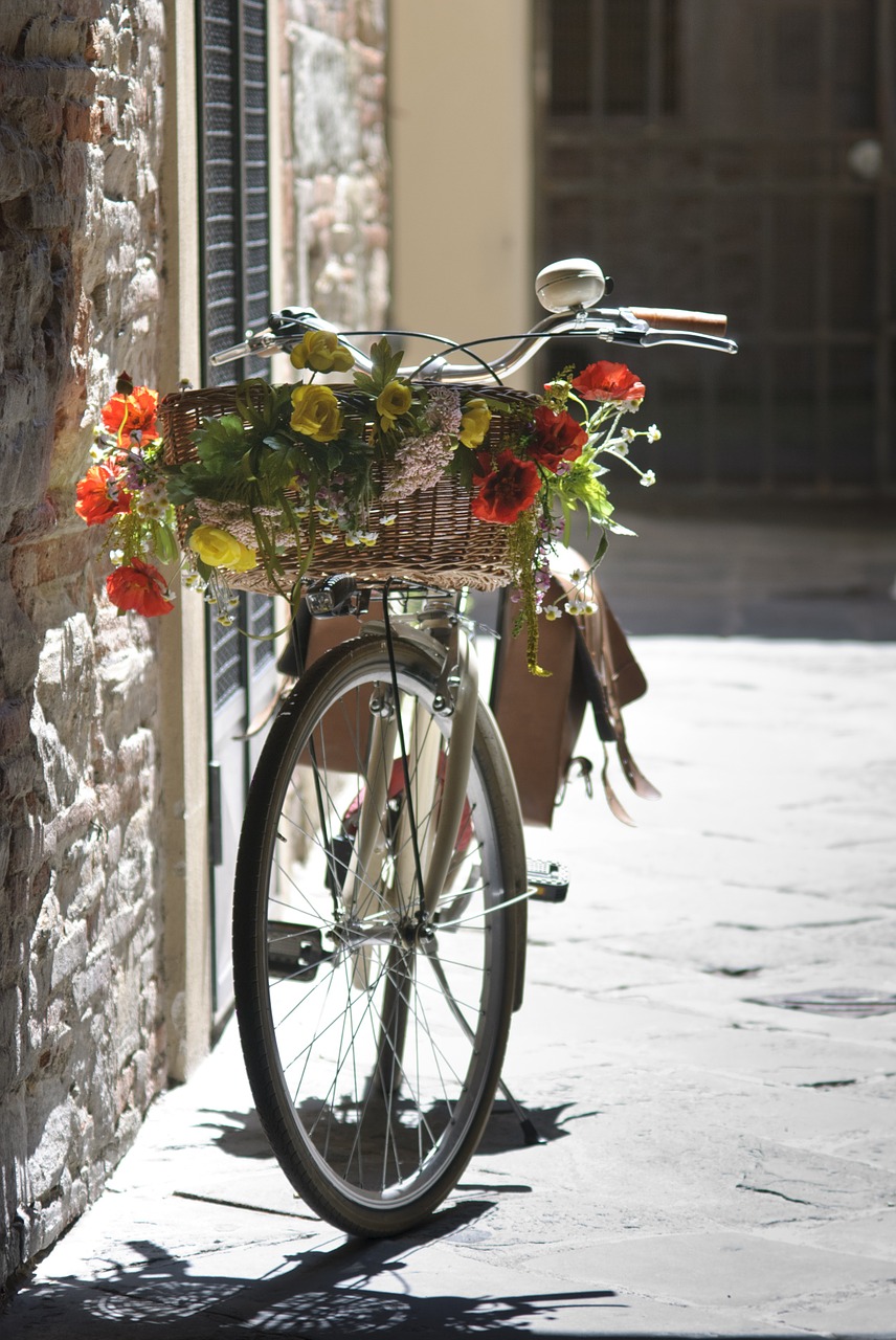 bike romantic summer free photo