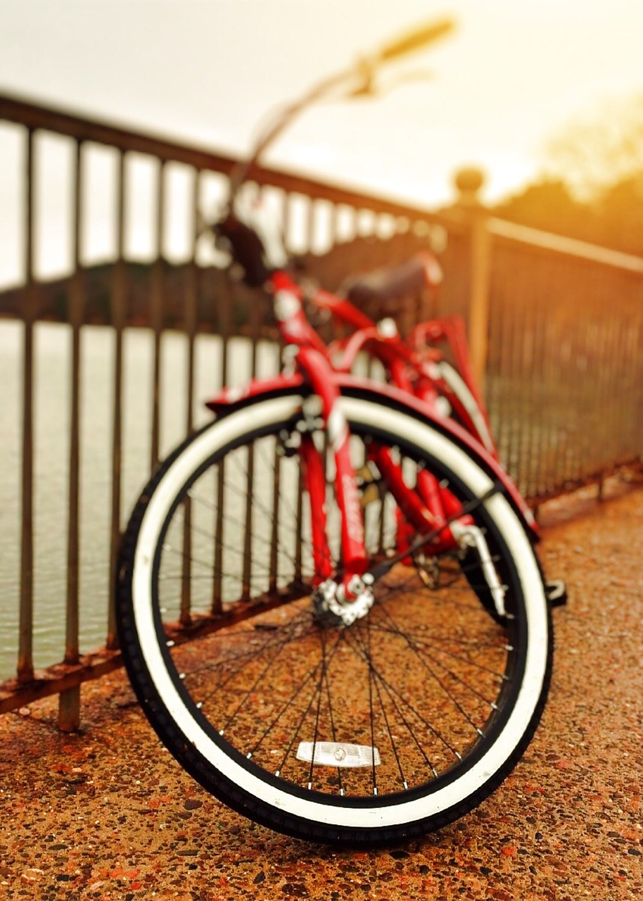 bike bicycle sport free photo