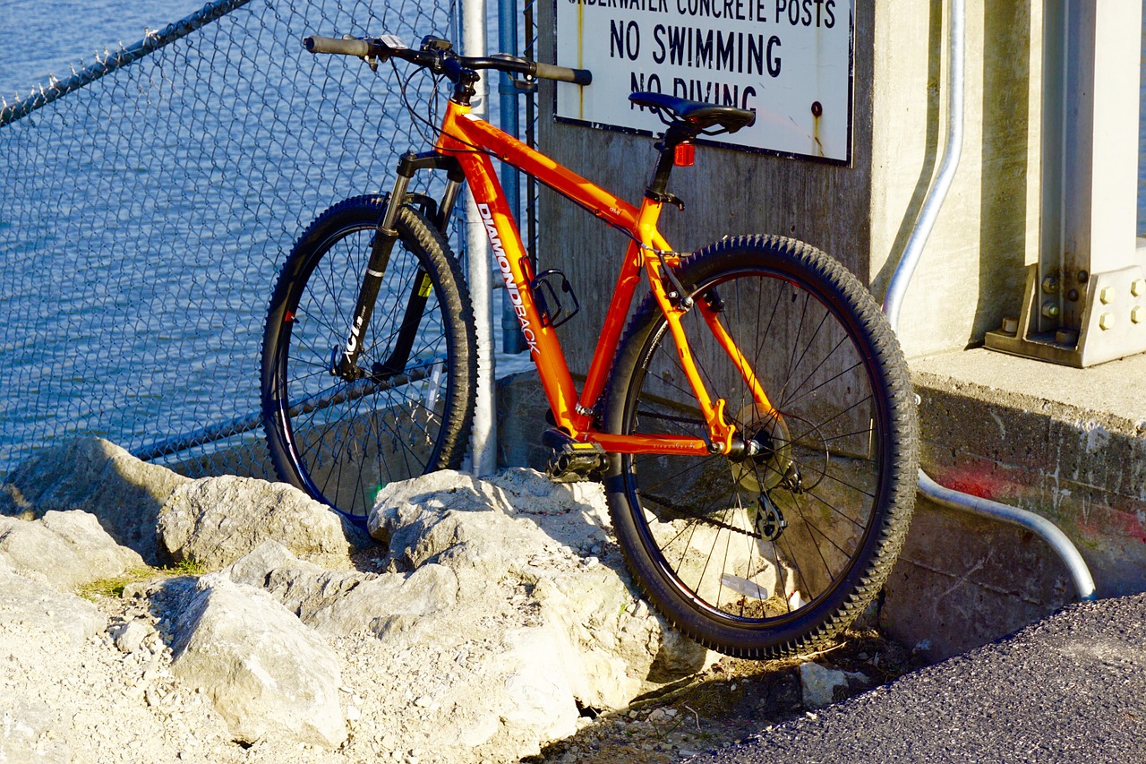 bike bicycle water free photo