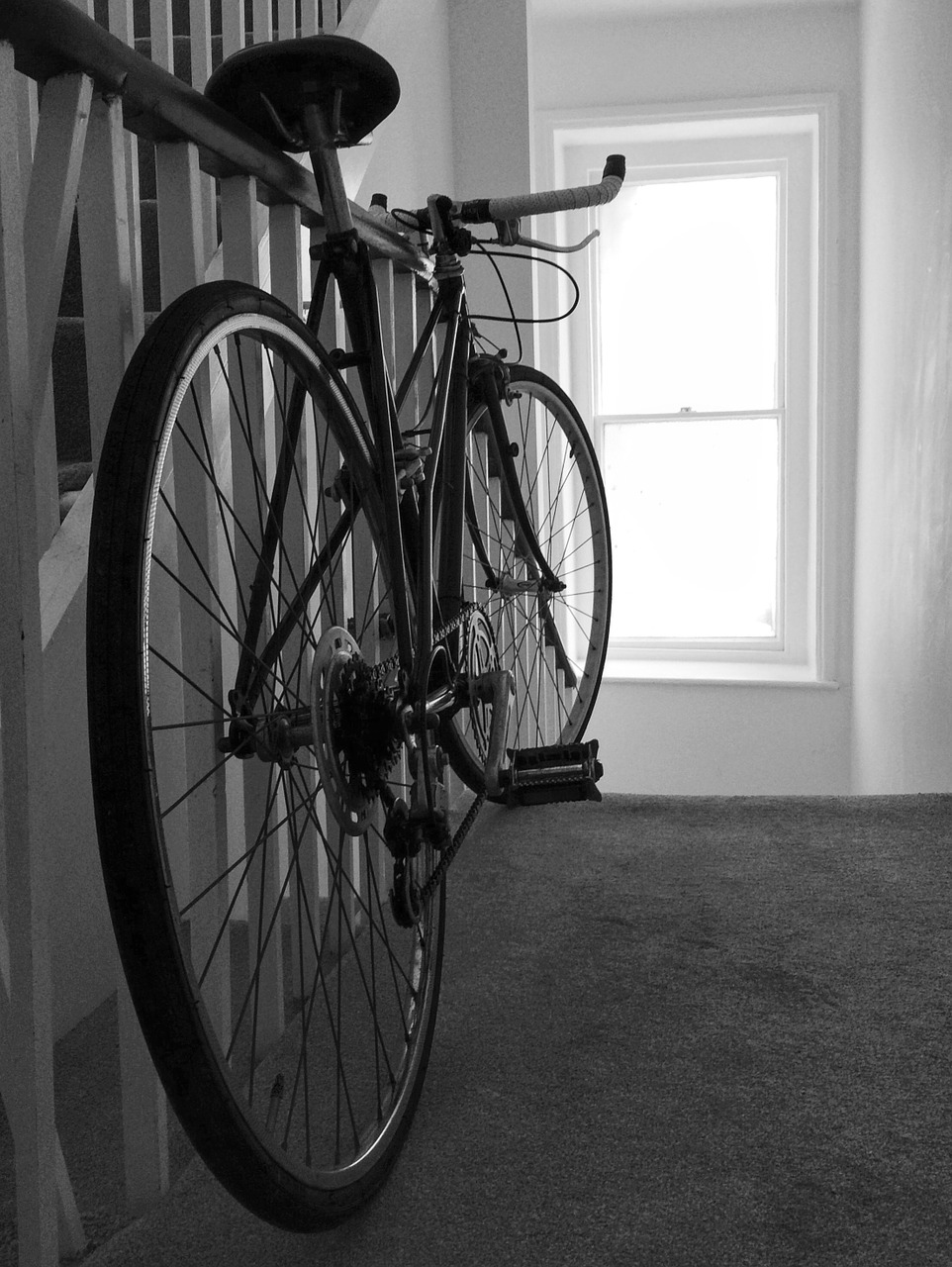 bike cycle bicycle free photo