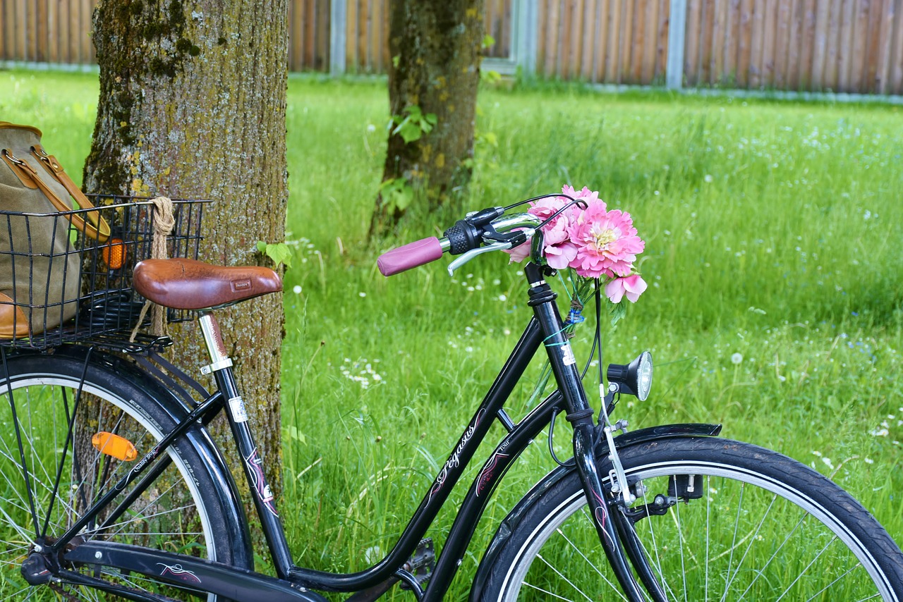 bike wheel cycle free photo
