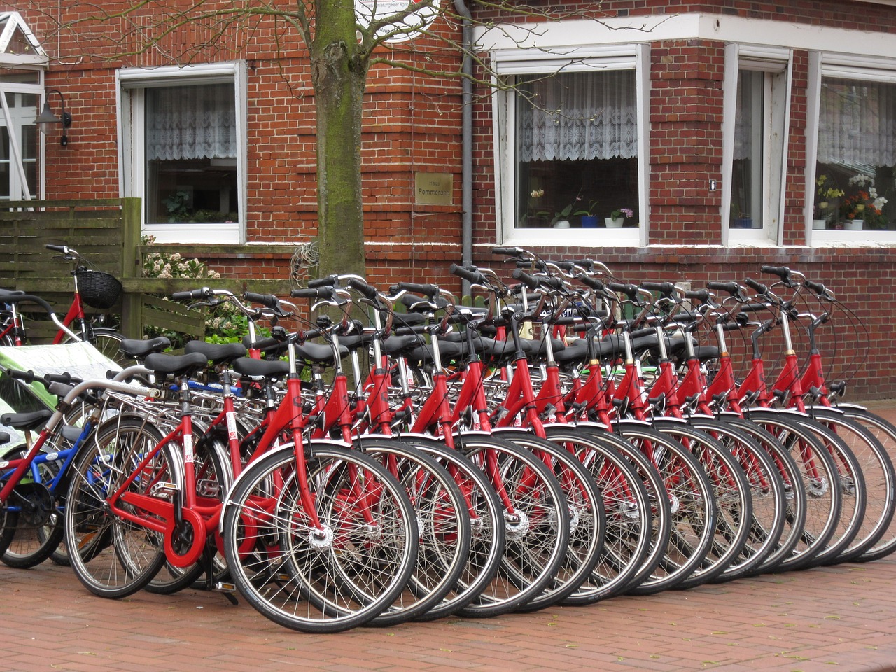 bike red series free photo