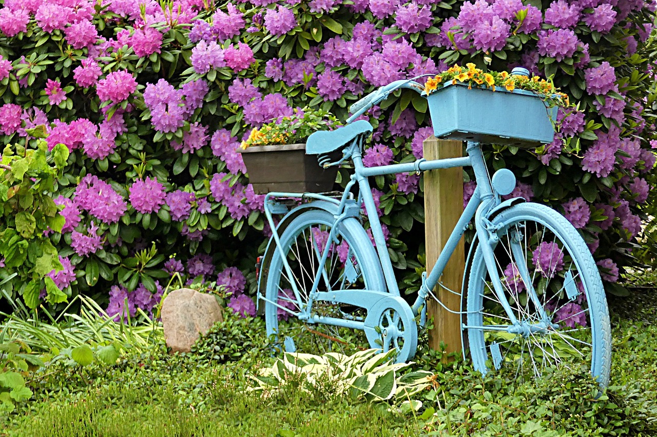 bike blue deco free photo