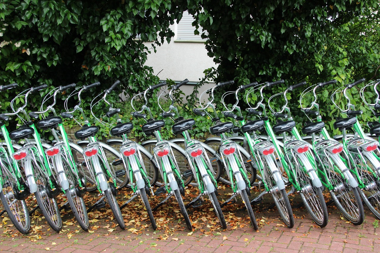 bike bicycle rental cycling free photo