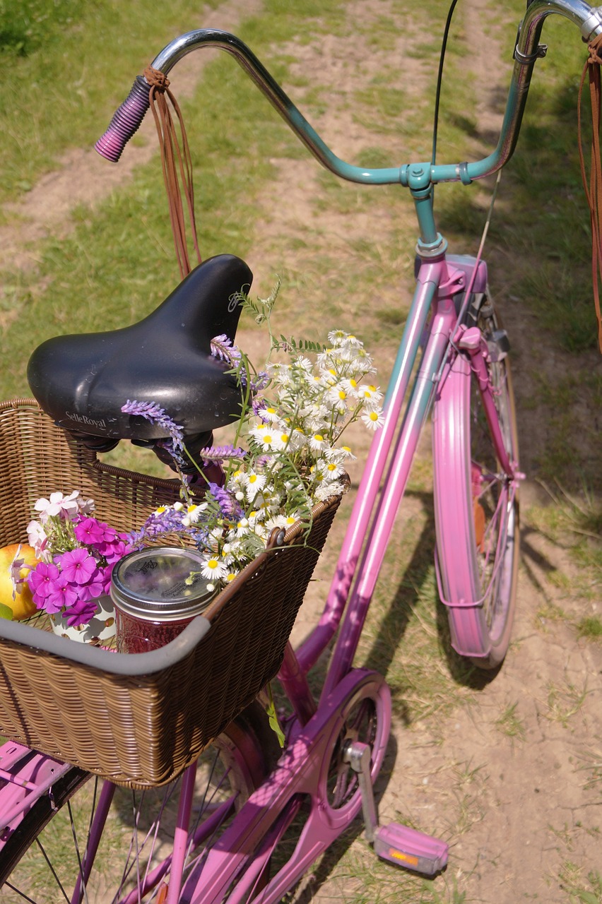 bike picnic bonanza free photo