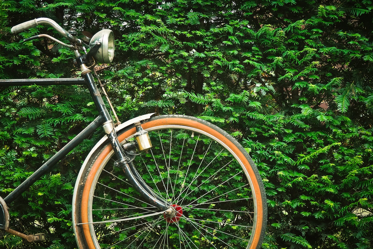 bike old wheel free photo