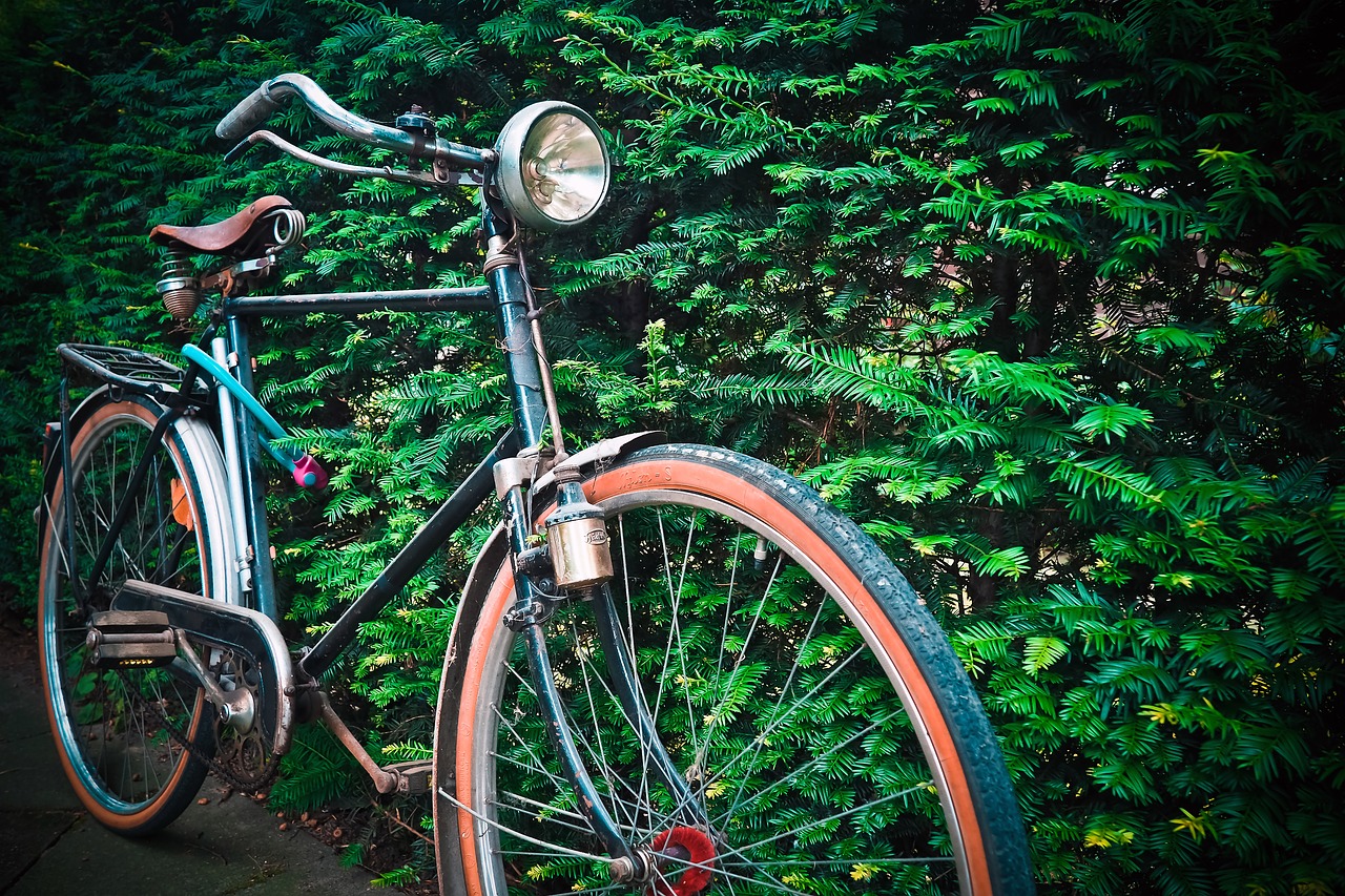 bike old wheel free photo