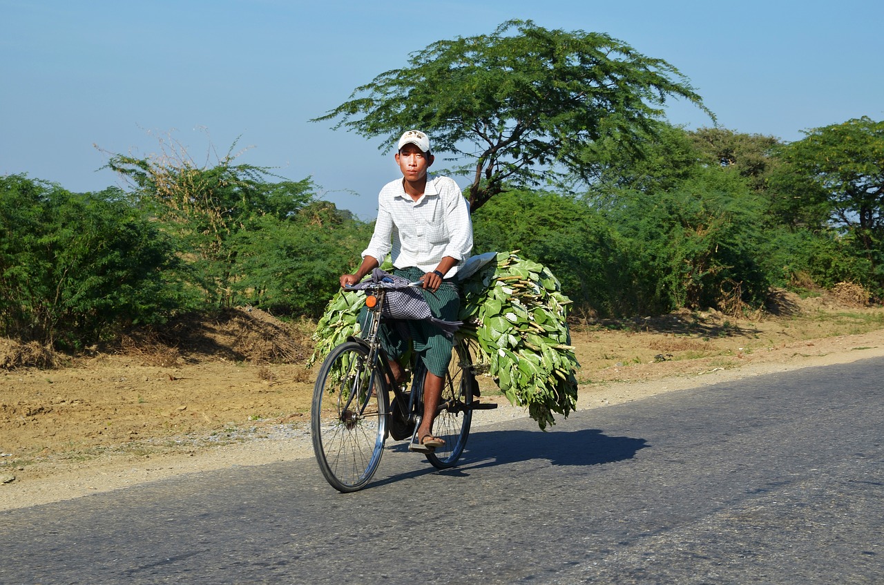 bike cyclists transport free photo