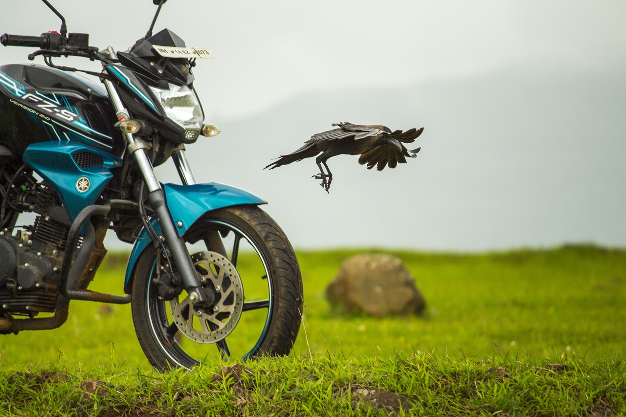 bike yamaha crow free photo