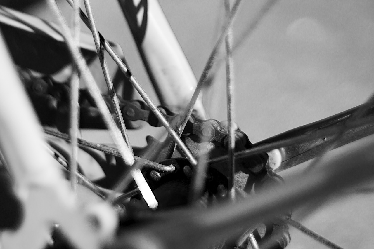 bike black and white bicycle free photo