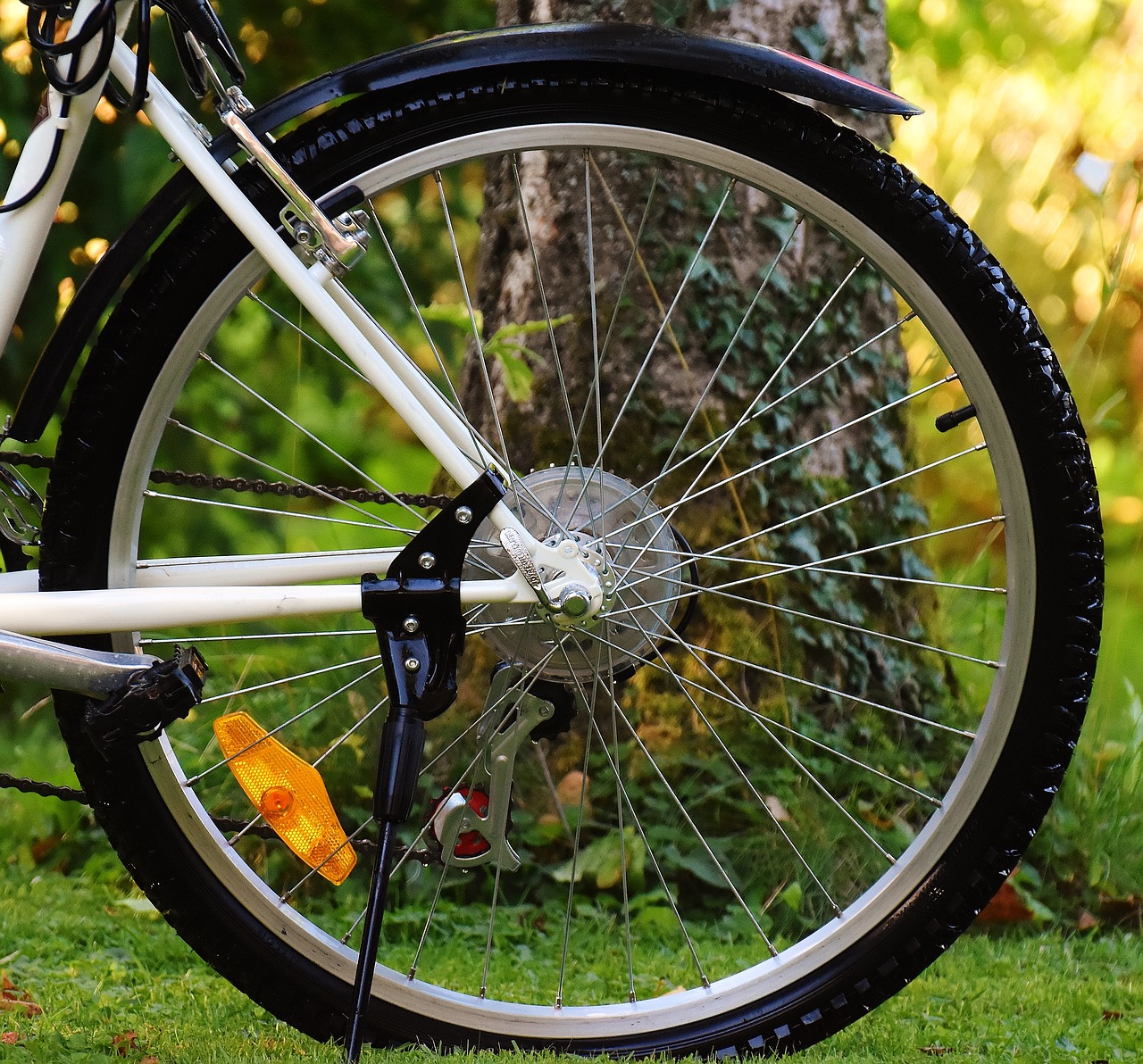 bike rear wheel cycle free photo