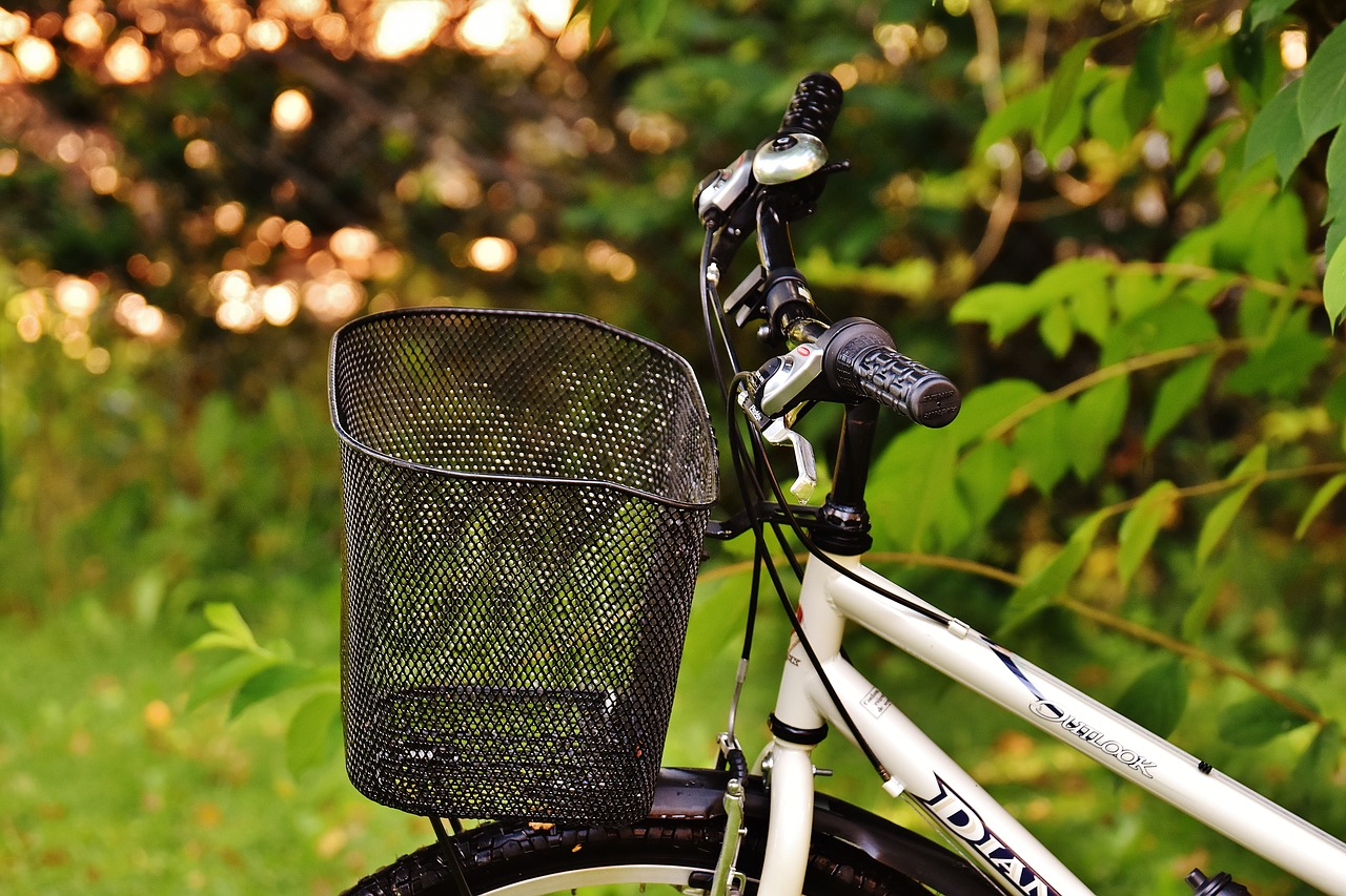 bike cycle wheel free photo