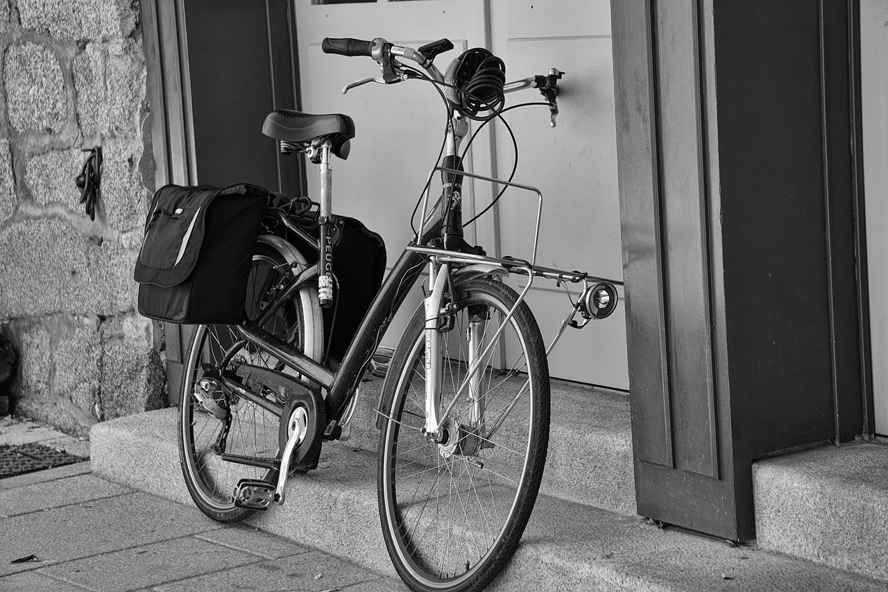 bike two wheels black and white free photo