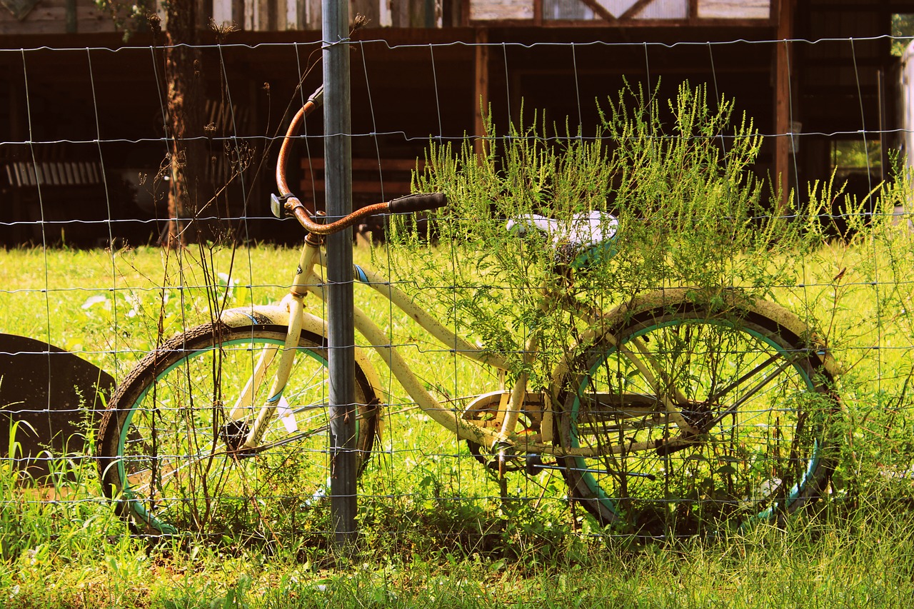 bike bicycle old free photo
