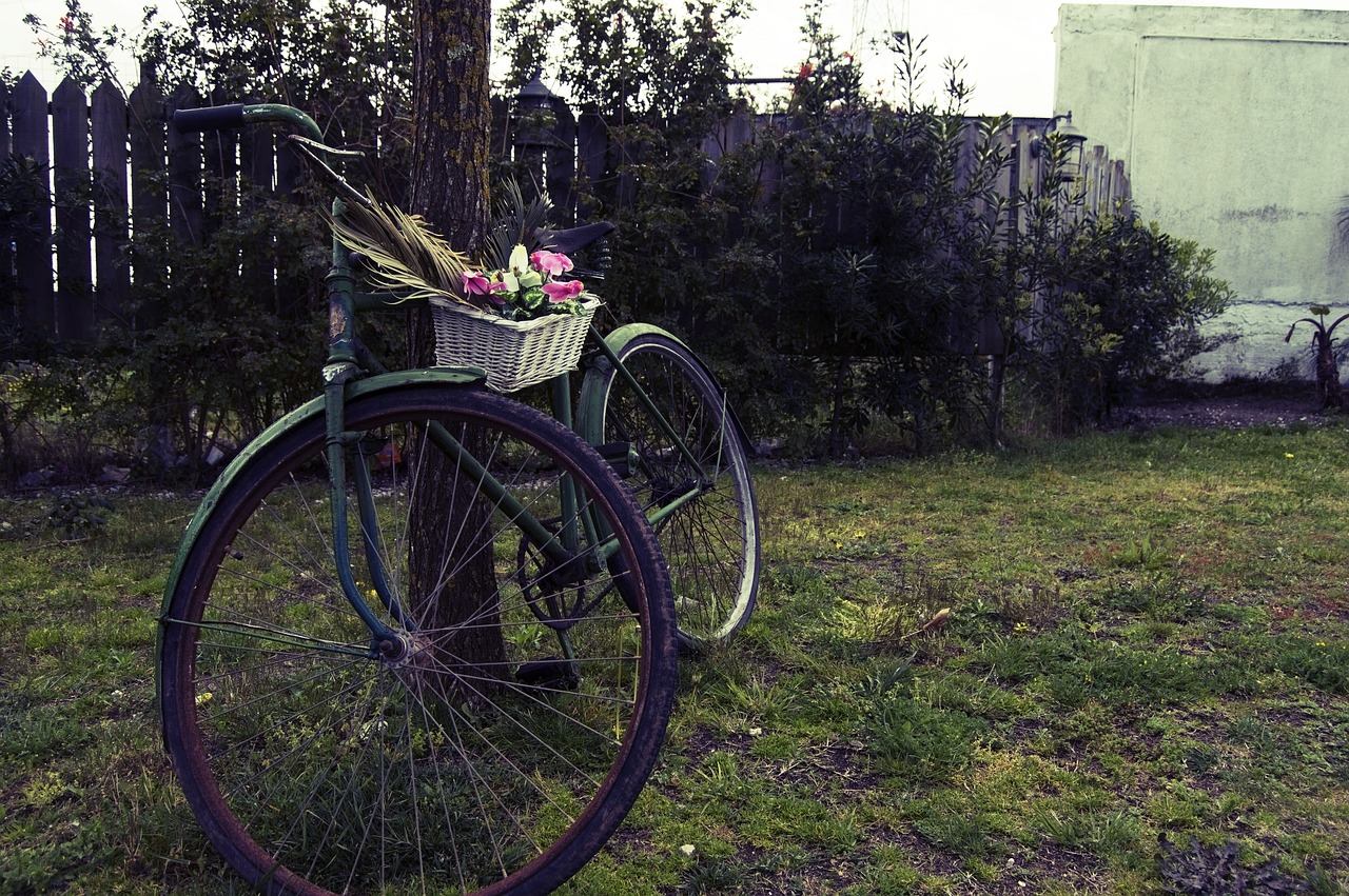 bike bicicleta flower free photo