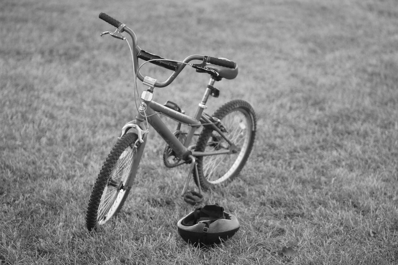 bike field grass free photo