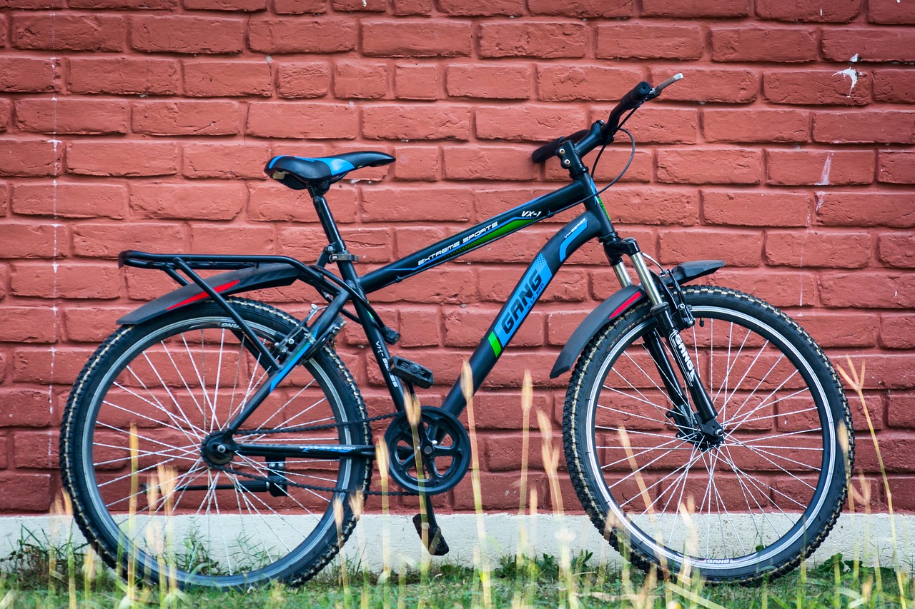 bike bicycle cycle free photo