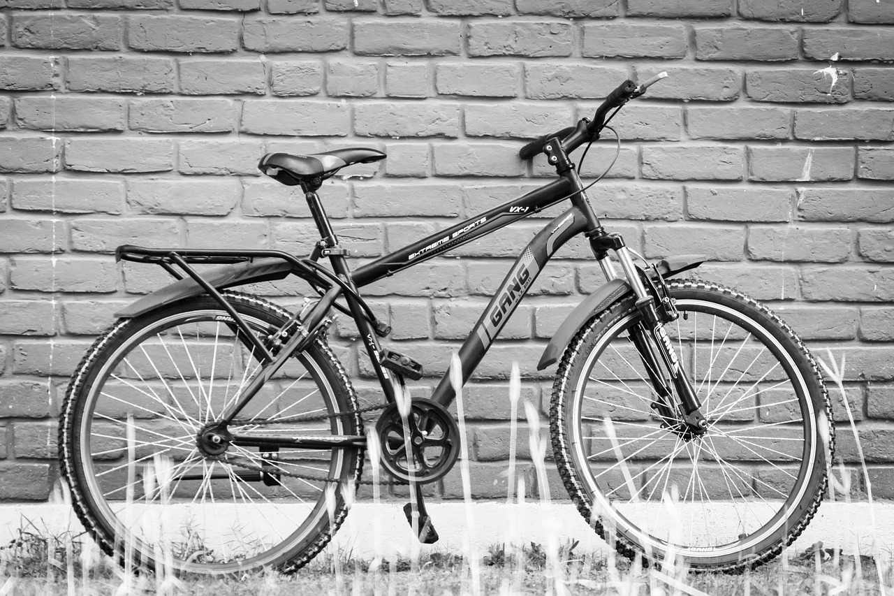 bike bicycle cycle free photo