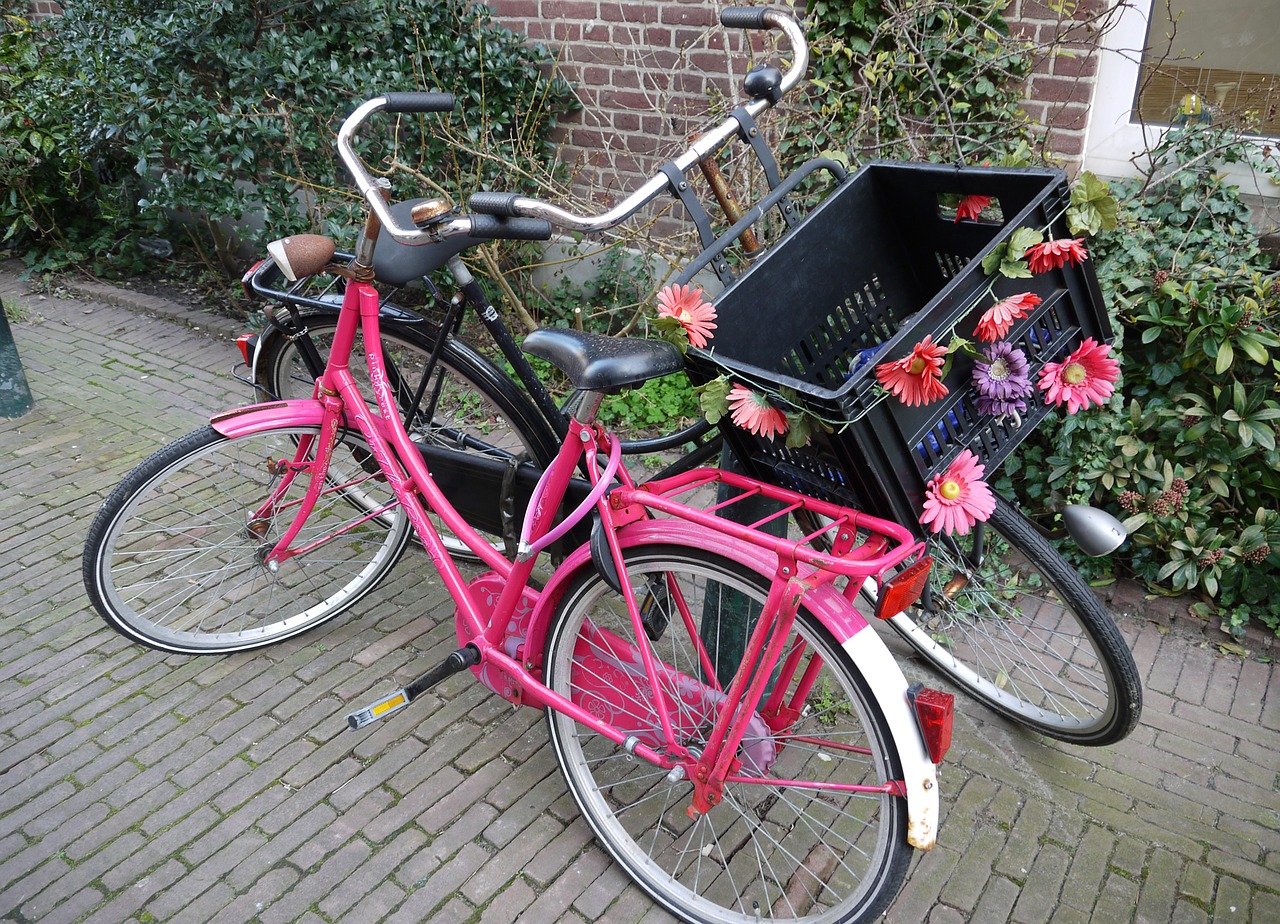 bike dutch netherlands free photo