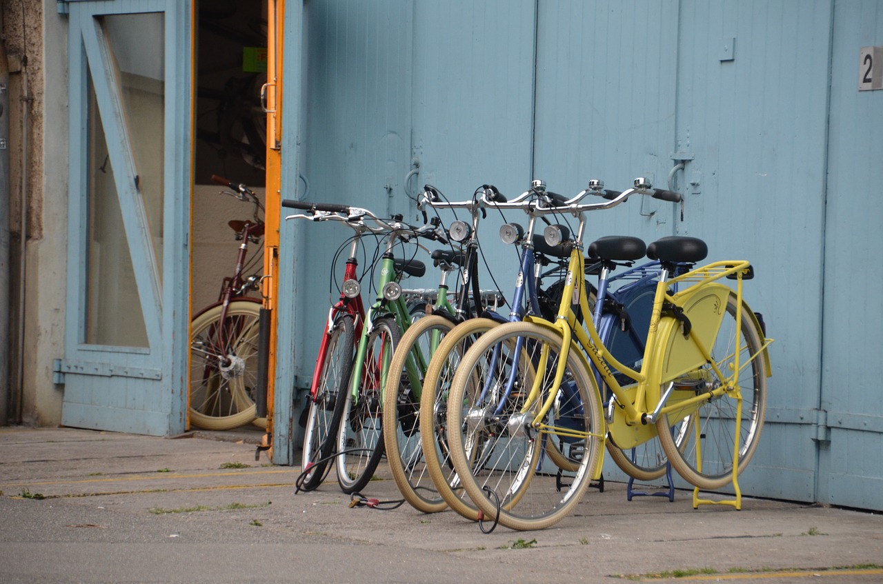 bike velo color free photo