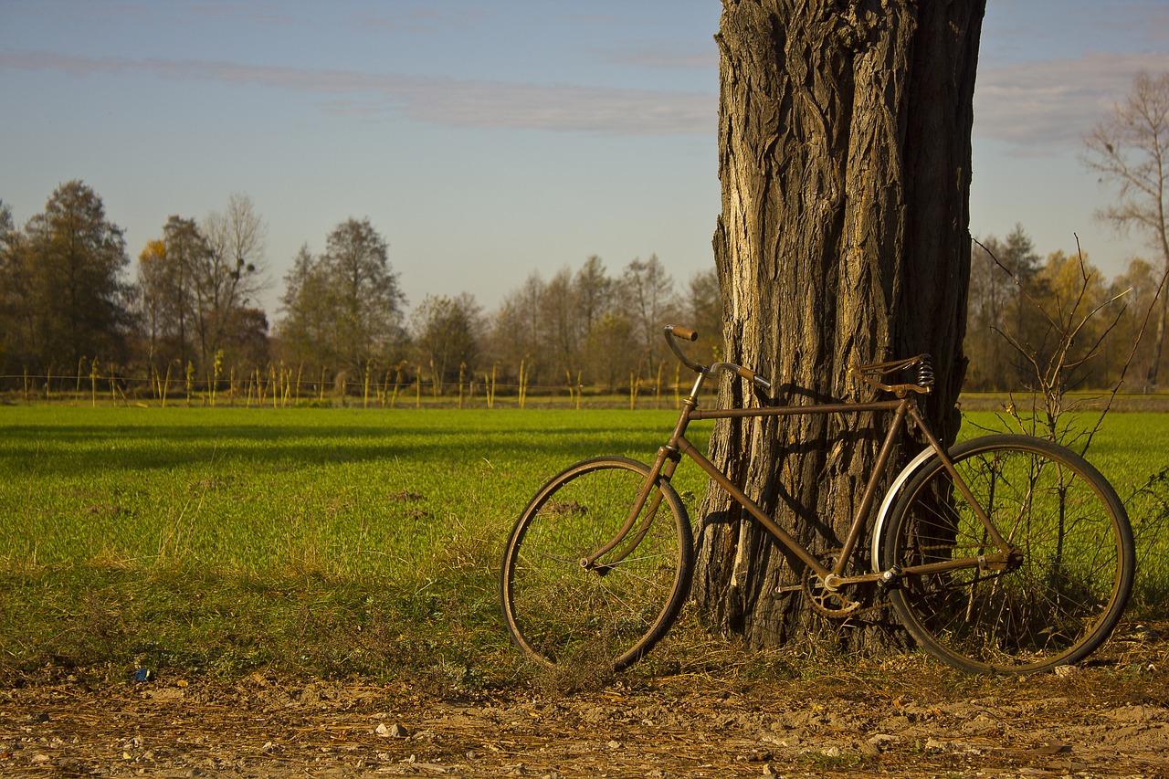 bike landscape village free photo