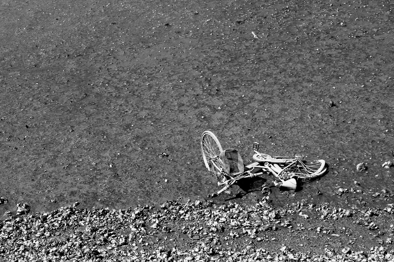 bike scrap forget free photo