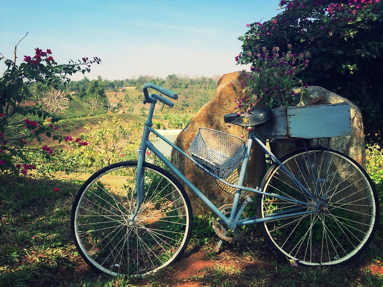 bike flower scenery free photo