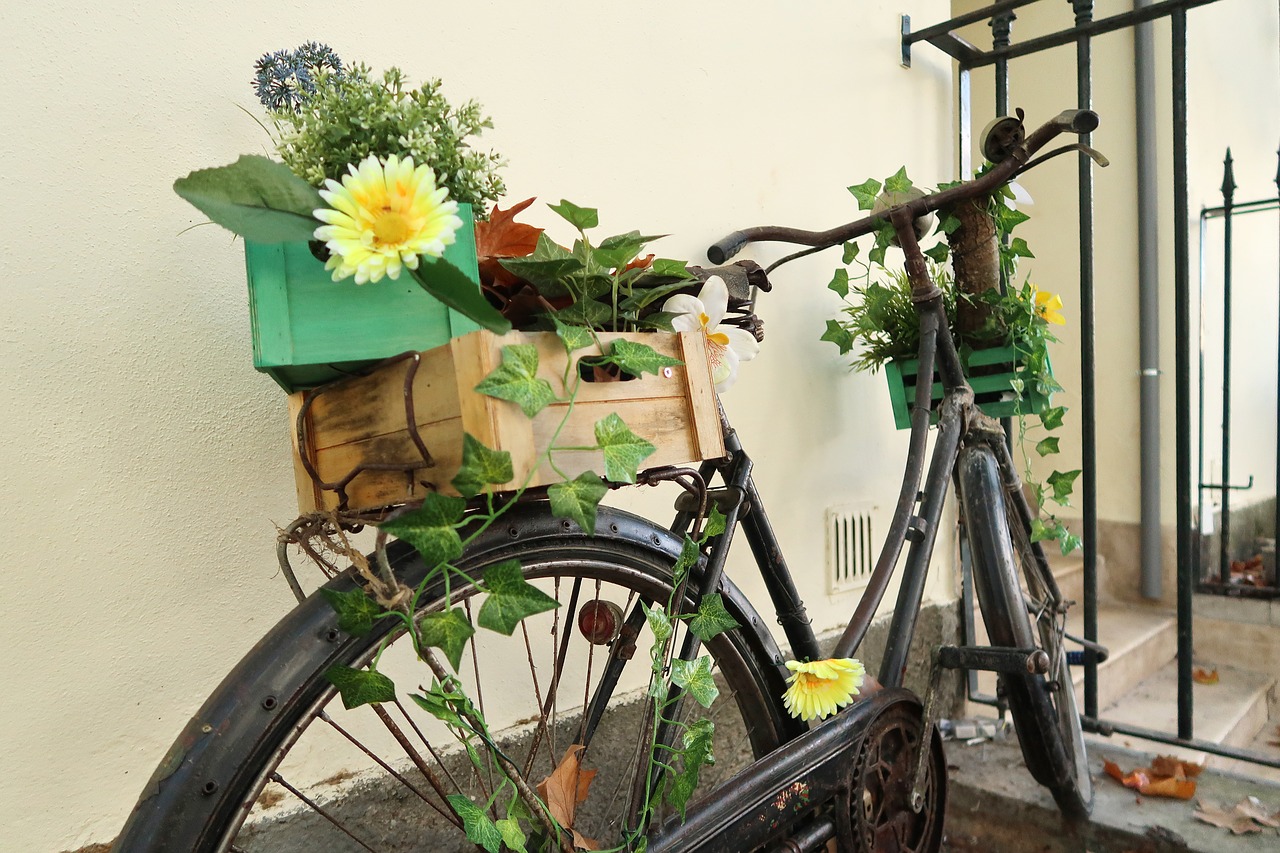 bike flowers old free photo