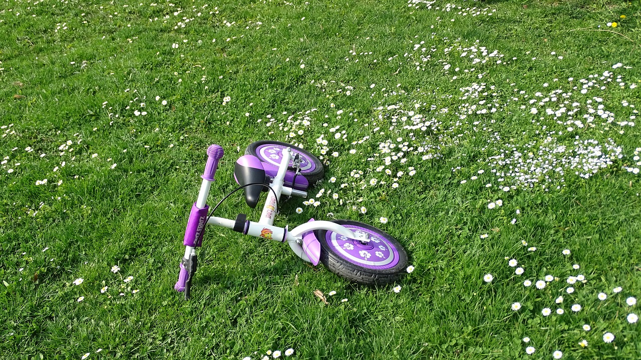 bike grass kids bike free photo