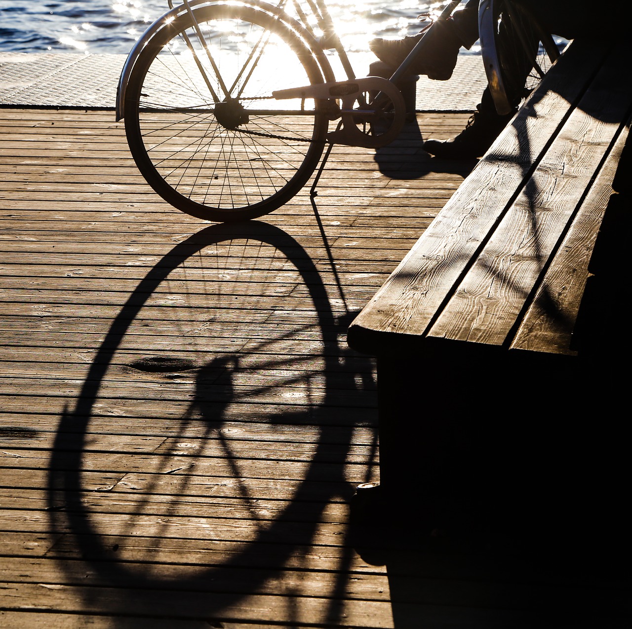 bike back light evening sun free photo