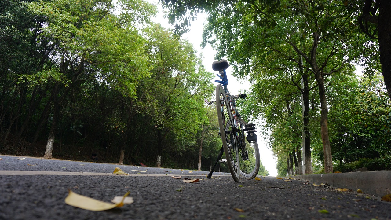 bike natural the scenery free photo