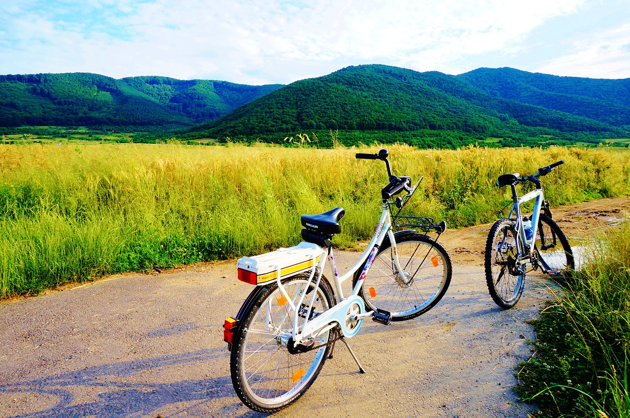 bike biking cycle free photo