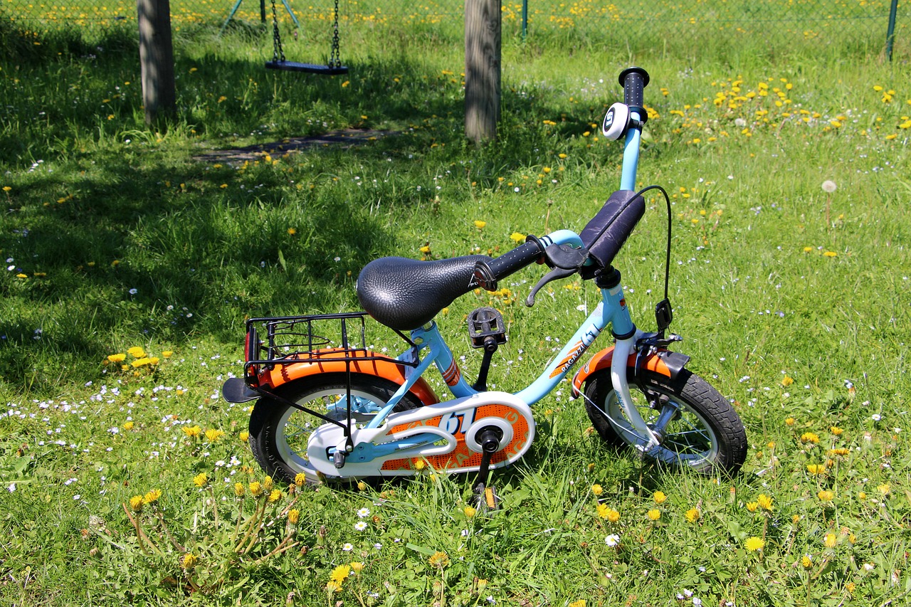 bike child's bike wheels free photo