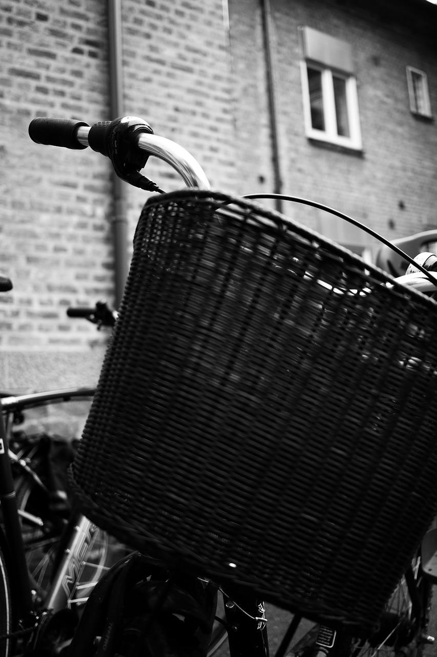 bike basket cycle free photo