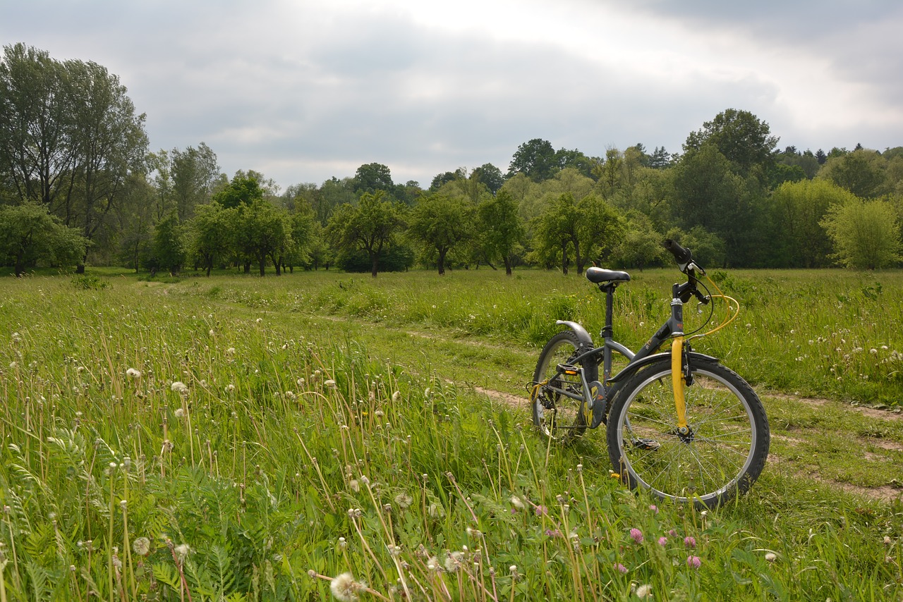 bike by bike bicycles free photo