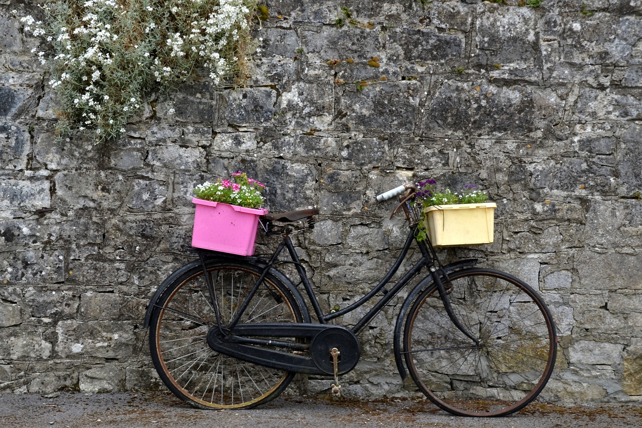 bike wheel flowers free photo