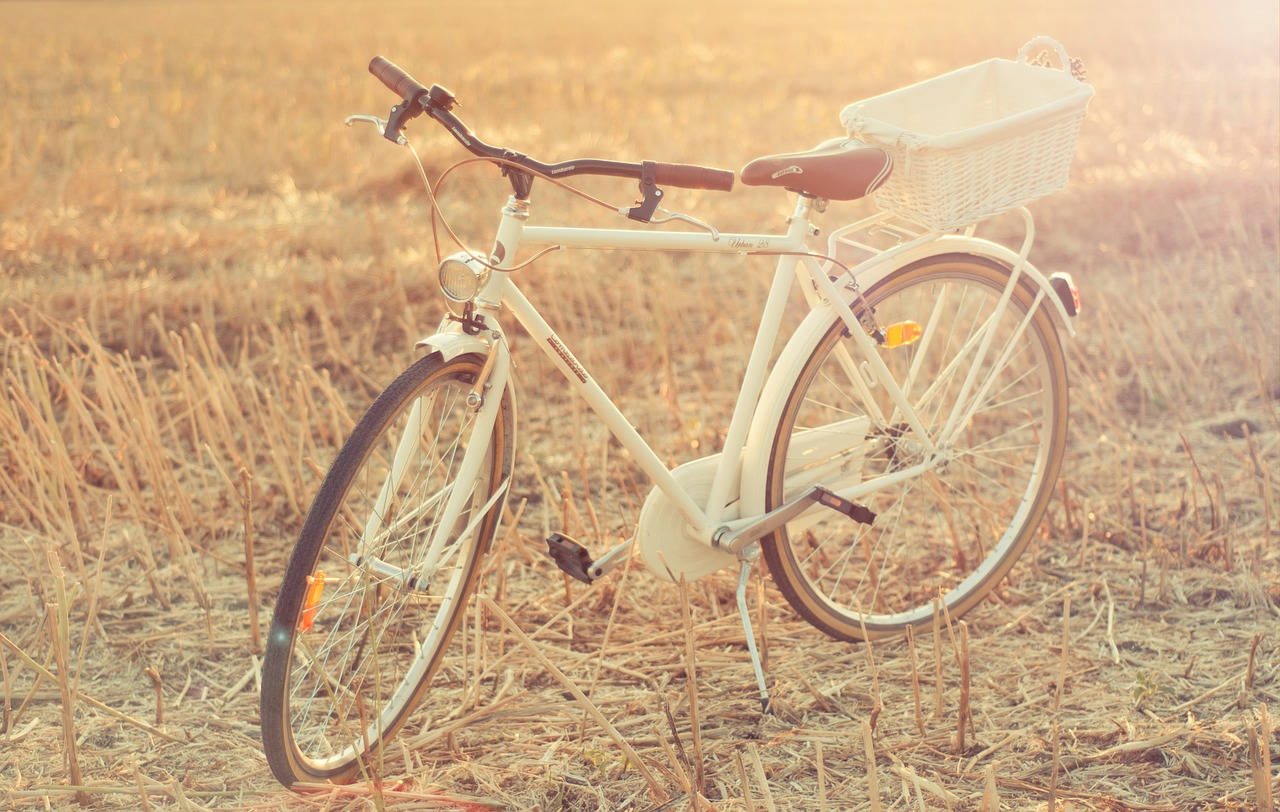 bike lavender cart free photo