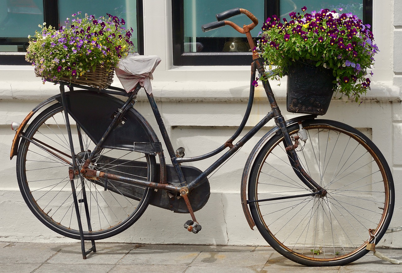 bike old two wheeled vehicle free photo