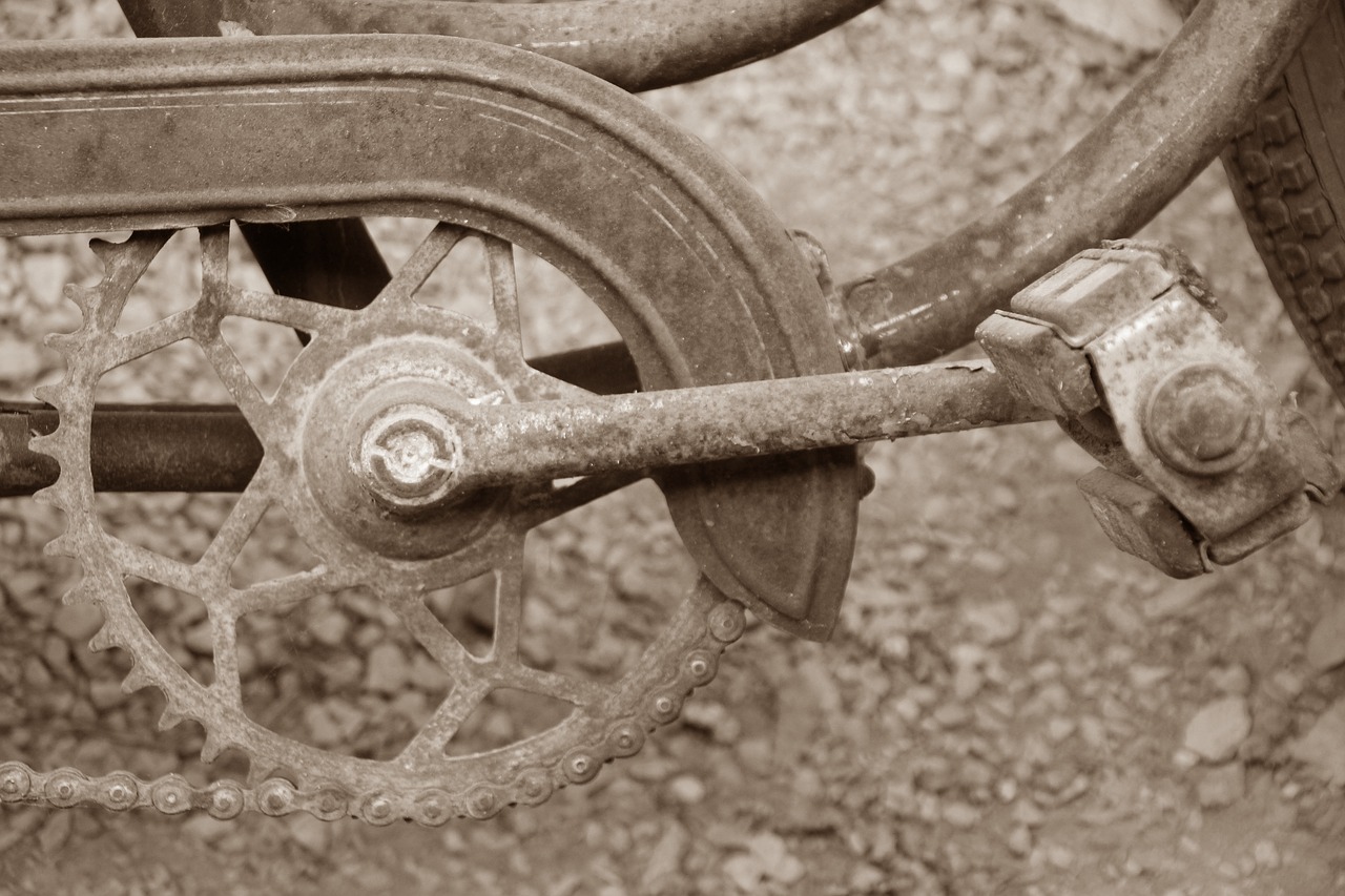 bike pedals chain free photo