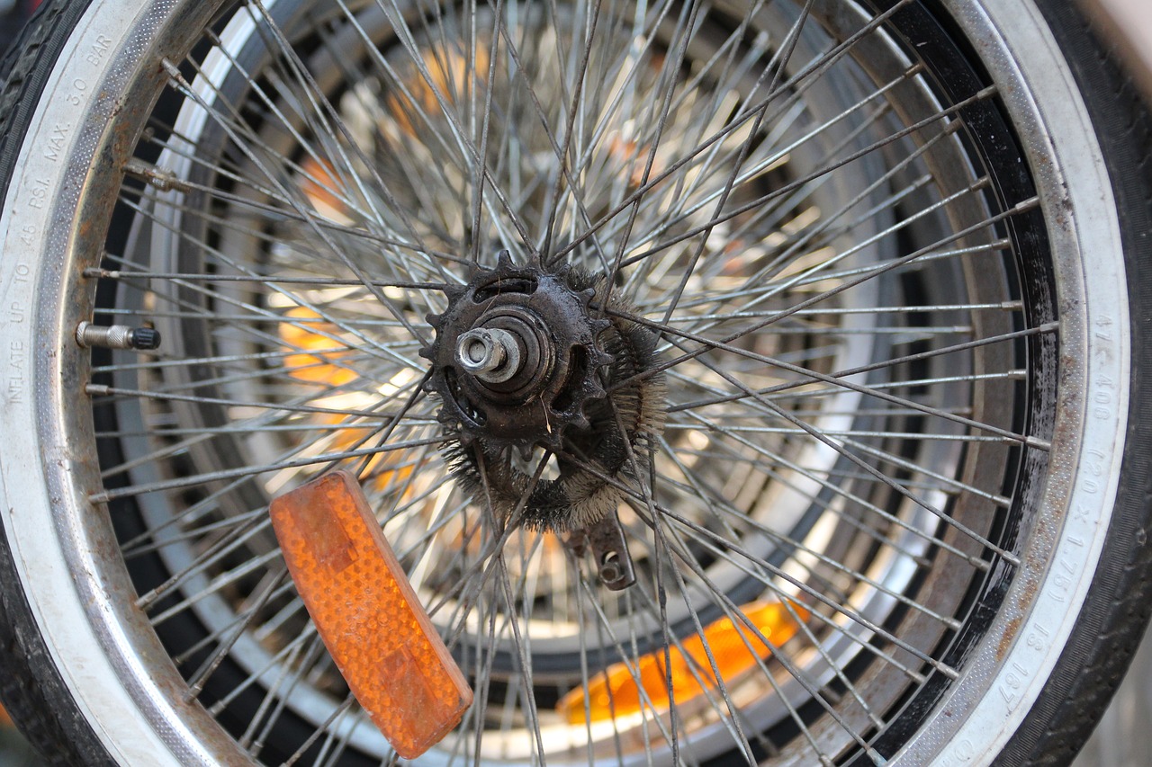 bike wheels wheel free photo