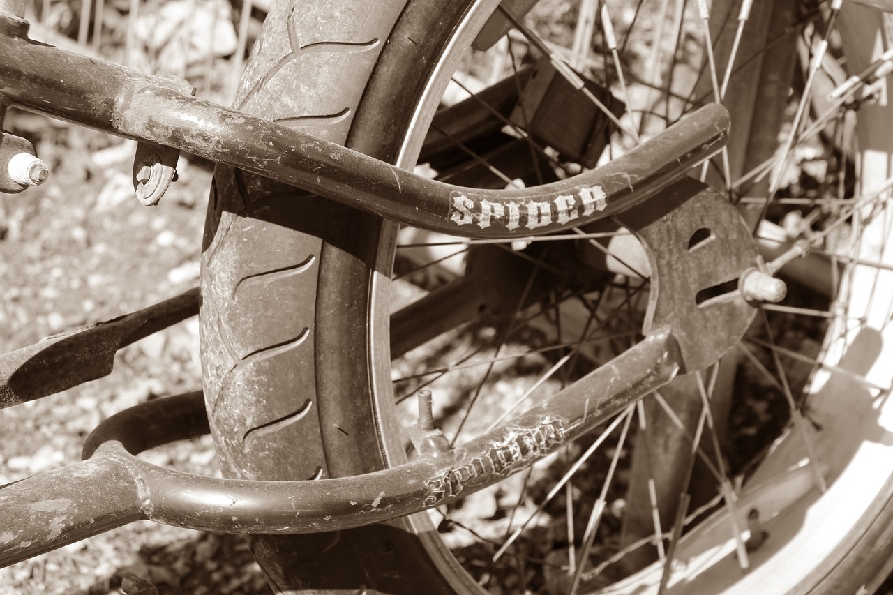 bike spokes wheel free photo