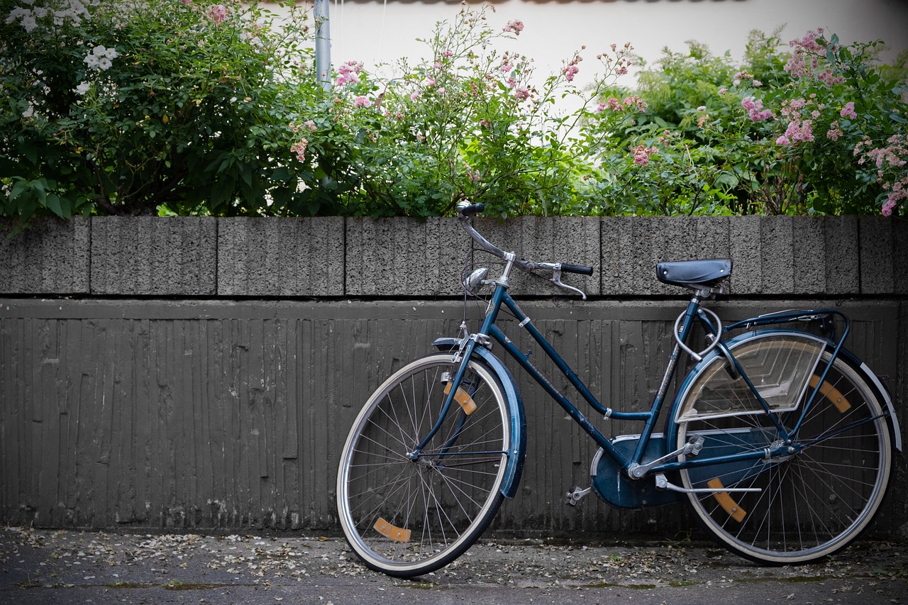 bike old wheel free photo