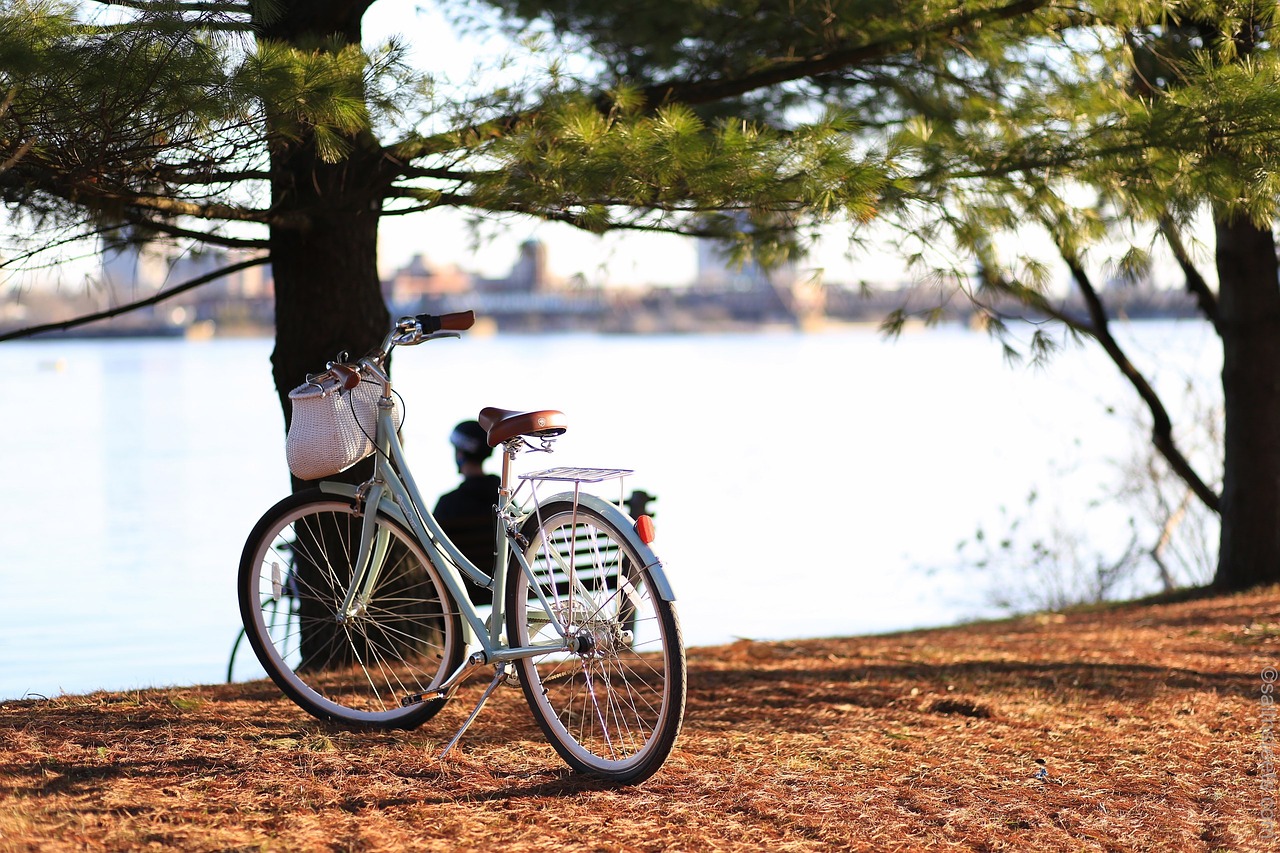 bike bicycle travel free photo