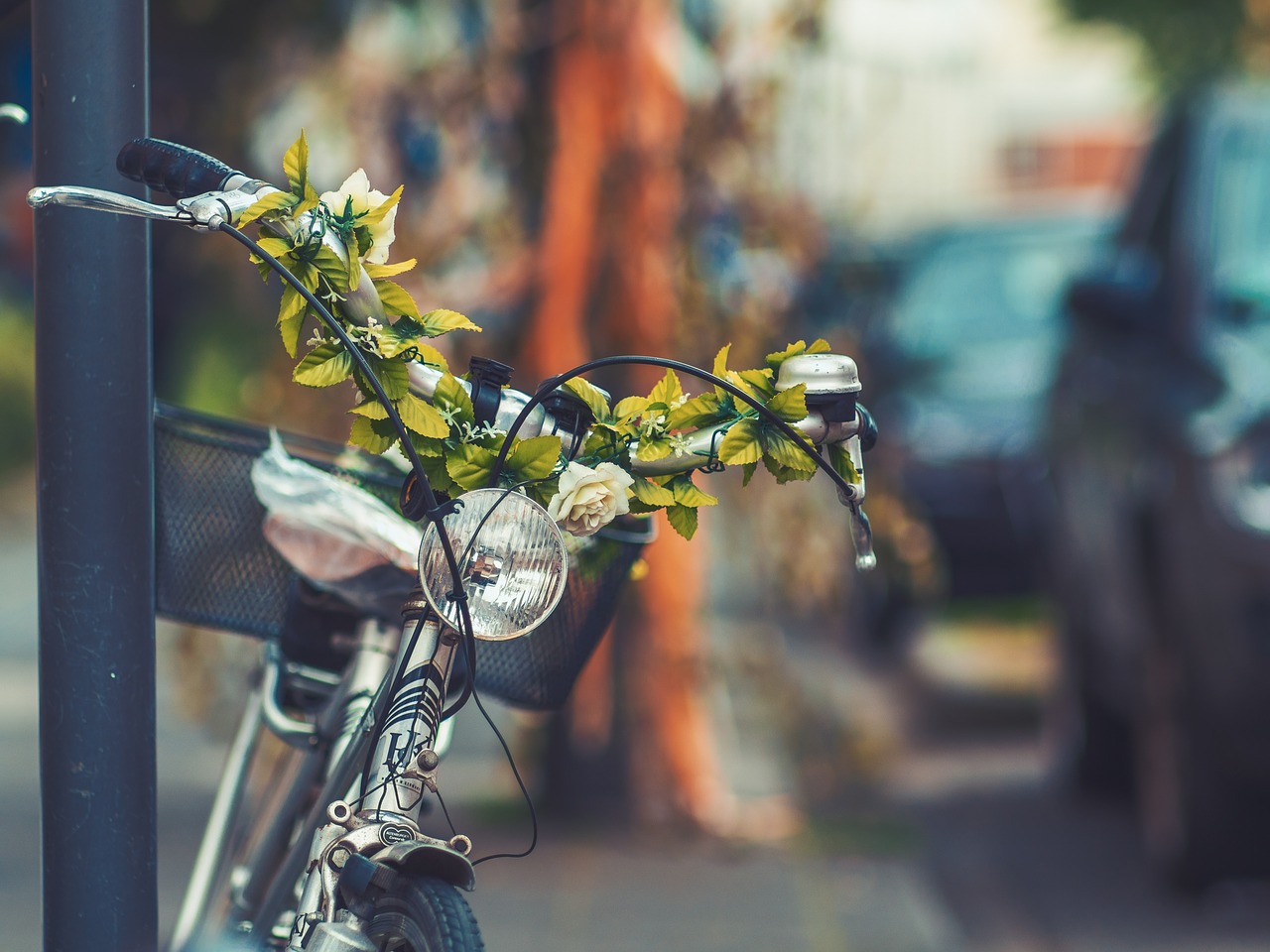 bike bicycle basket free photo