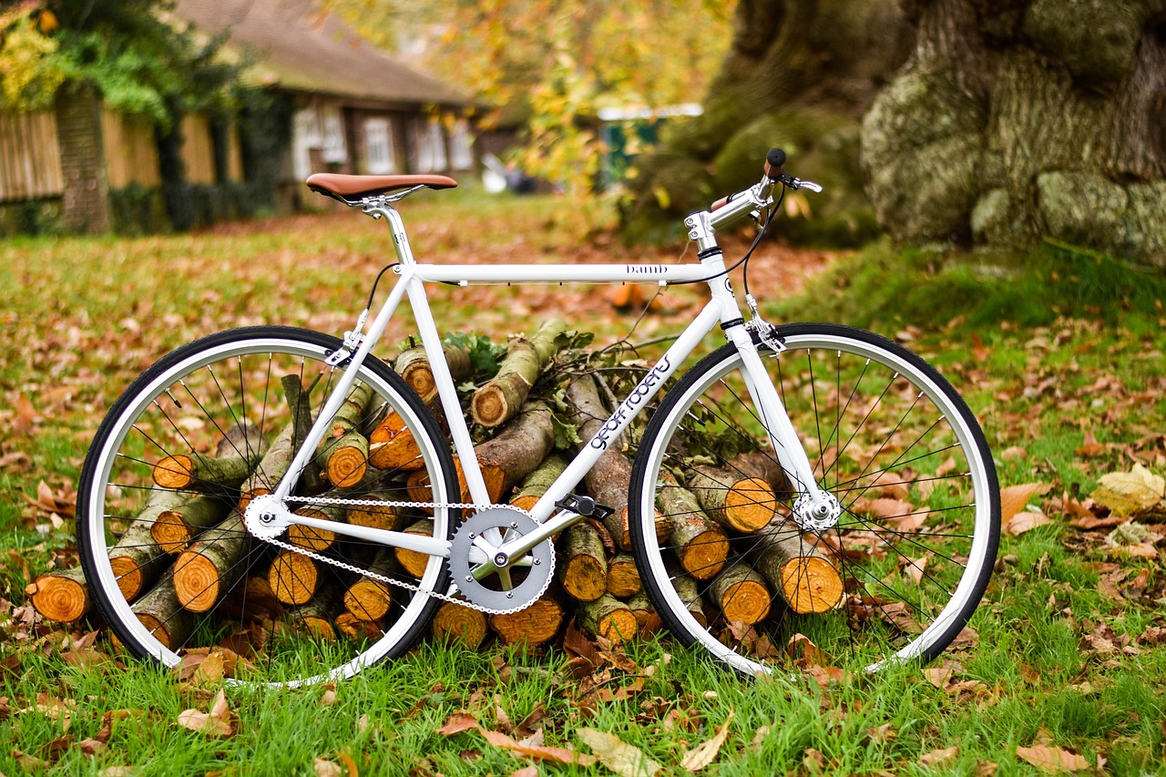 bike bicycle woods free photo