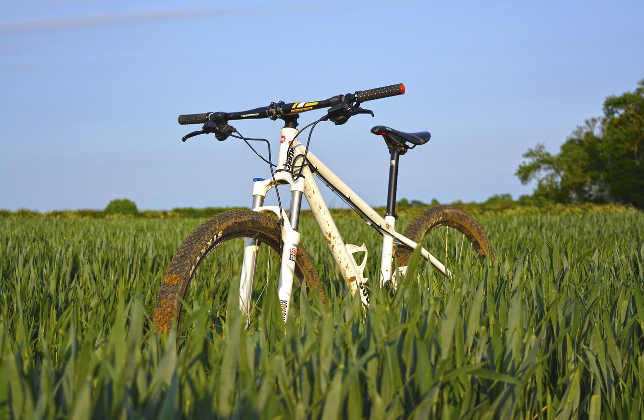 bike bicycle sport free photo